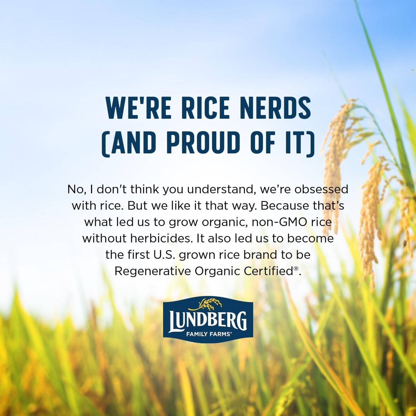 Basmati Rice, Organic Long Grain White Rice - Non-Sticky, Fluffy, Nutty, Aromatic Rice, Vegan Food, Healthy Meals, Gluten-Free Rice Grown in California, 25 Lbs