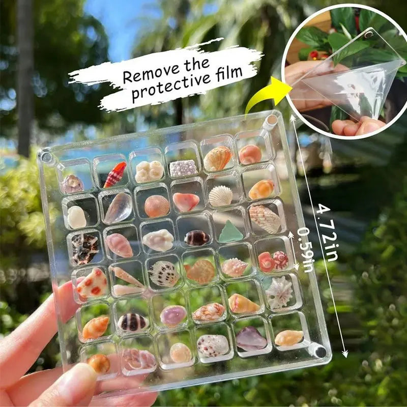 Acrylic Magnetic Seashell Display Box Seashell Storage Box Clear Acrylic Diamond Gemstone Beads Storage Display Organizer Box