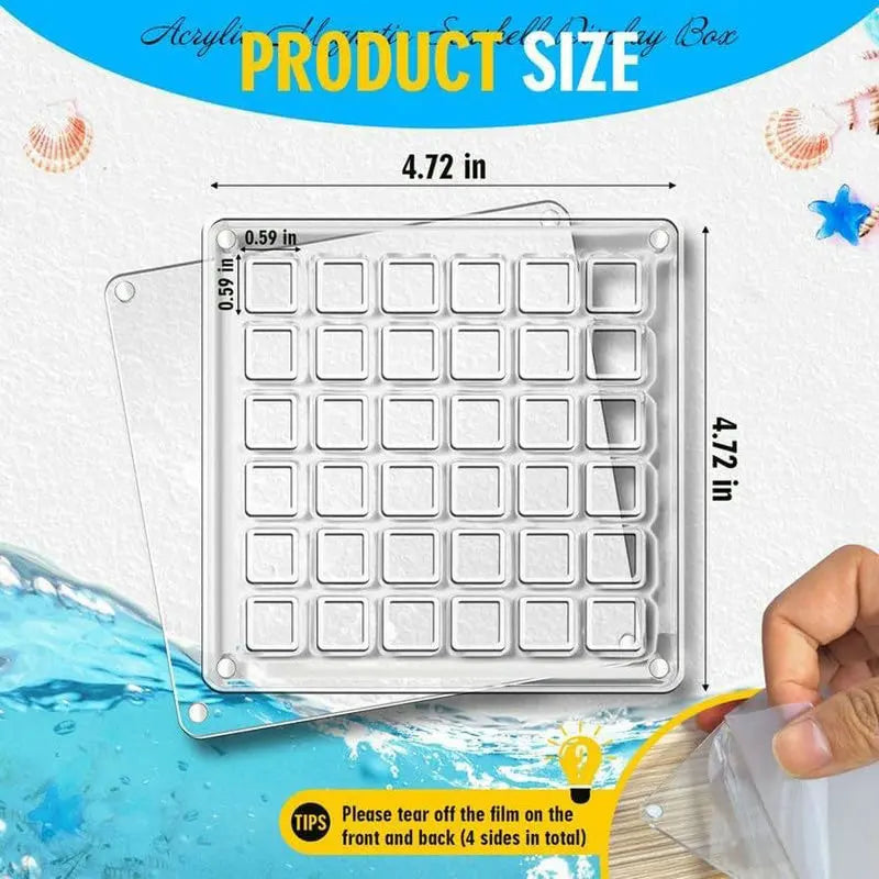 Acrylic Magnetic Seashell Display Box Seashell Storage Box Clear Acrylic Diamond Gemstone Beads Storage Display Organizer Box