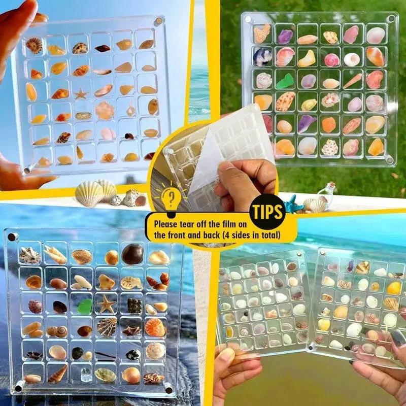 Acrylic Magnetic Seashell Display Box Seashell Storage Box Clear Acrylic Diamond Gemstone Beads Storage Display Organizer Box