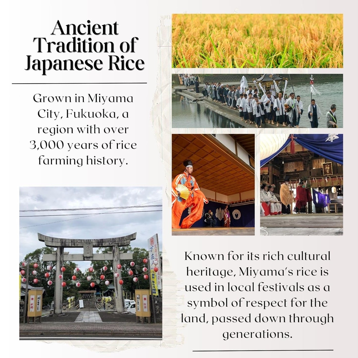 [WASHOKU MATSUO] Nikomaru: Rare Japanese Rice Born from Koshihikari – Premium Short Grain White Rice, Rich in Tradition, 4.4 Lb.
