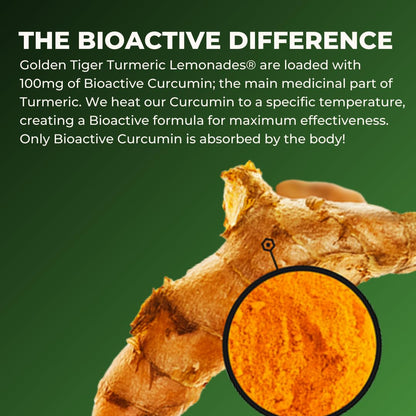 Still Turmeric Lemonade, Green Tea - Organic Superfood-Infused Sports Drink with Curcumin & Ginger - Antioxidants for Recovery and Immunity, 4G Sugar (12 Bottles)