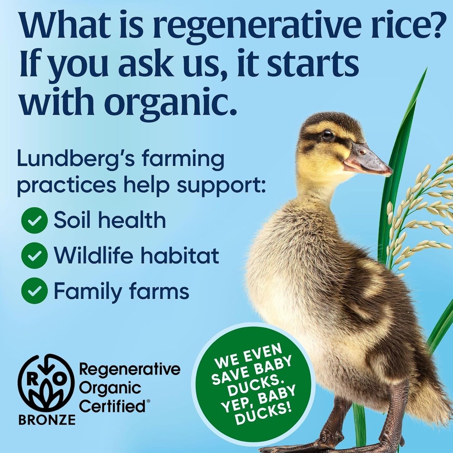 White Basmati Rice, Regenerative Organic Certified – Non-Sticky, Fluffy & Aromatic Long-Grain Rice, Responsibly Grown in California, 32 Oz