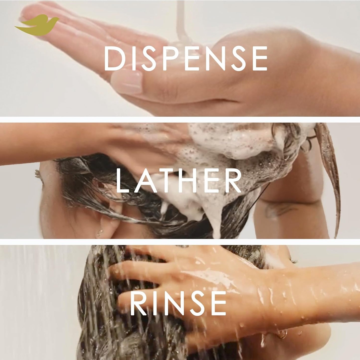 Damage Therapy Derma Shampoo Dryness + Itch for Flaky Scalp with Pyrithione Zinc and Coconut Oil 12 Fl Oz