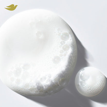 Damage Therapy Derma Shampoo Dryness + Itch for Flaky Scalp with Pyrithione Zinc and Coconut Oil 12 Fl Oz