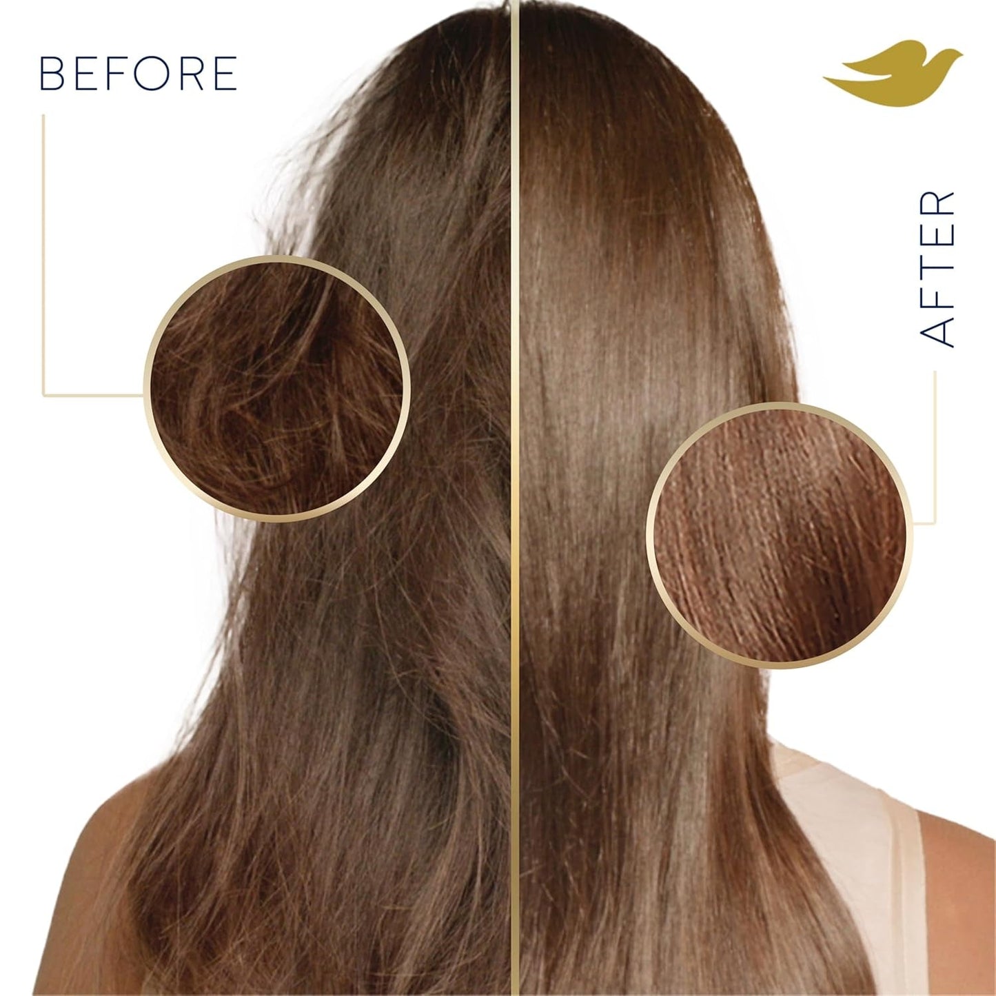 Damage Therapy Shampoo Daily Moisture for Dry Hair Shampoo with Bio-Protein Care 20.4 Fl Oz