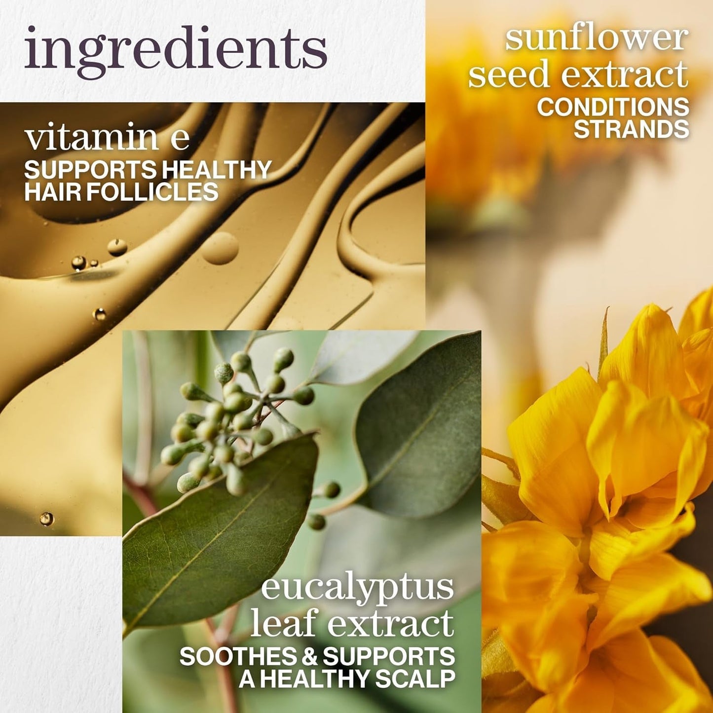 Pureology Pure Volume Shampoo - for Flat, Fine, Color-Treated Hair, Adds Lightweight Volume and Body, Clarifies Buildup, Sulfate-Free & Vegan