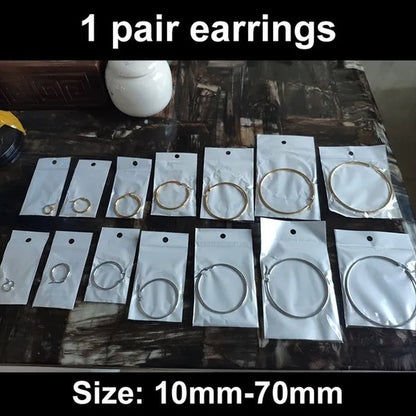 【 Hoop Earrings】 Pendant Women'S Fashion Silver Plated Earrings Stainless Steel Gold Color Jewelry