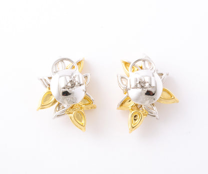 https://a.1stdibscdn.com/yellow-and-white-diamond-cluster-earrings-for-sale-picture-7/j_415/j_164838621658497579027/6R1A9498_2__master.jpg