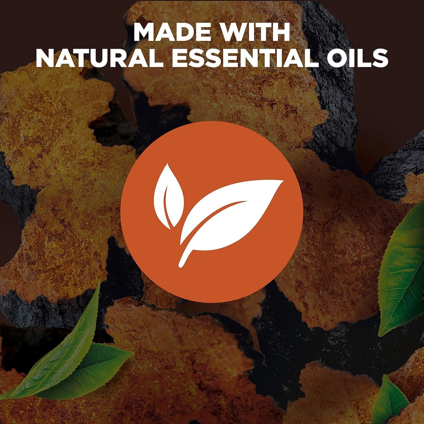 Rebalance Body Wash Tea Leaves and Chaga 4 Count with Vitamin and Mineral Complex Moisturizing Body Wash with Plant Based Ingredients 18 Oz