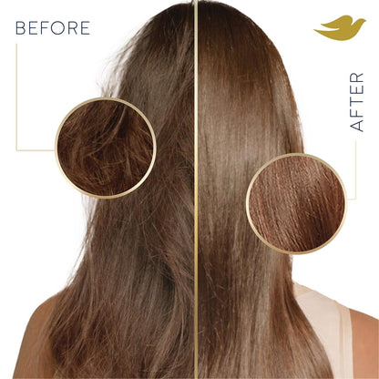 Conditioner Intensive Repair Pack of 4 for Damaged Hair Conditioner with Bio-Restore Complex 31 Oz