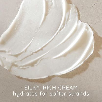 Apple Cider Vinegar Sulfate-Free Conditioner for Balance & High Shine, Daily Moisturizing & Scalp Soothing Conditioner for Oily or Dull Hair, Paraben & Dye-Free, 12Oz