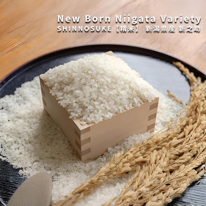 [Top Japan Ranking] SHINNOSUKE - Newborn Niigata Variety Rice, Larger Grains Ideal for Sushi & Onigiri - Elevate Your Culinary Experience with Superior Short-Grain Rice [100% Grown in Niigata] - 11 Pound Bag 【精米】新潟県産 新之助