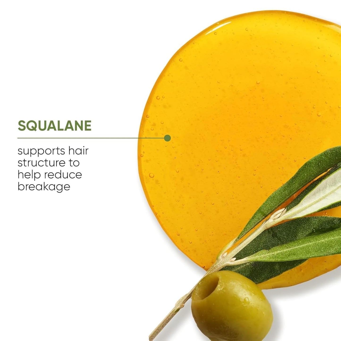 Biolage Strength Recovery Conditioner - Moisturizes & Strengthens Damaged Hair, Softness & Shine, Olive Squalane & Vegan Proteins, Paraben-Free, Vegan, Packaging May Vary