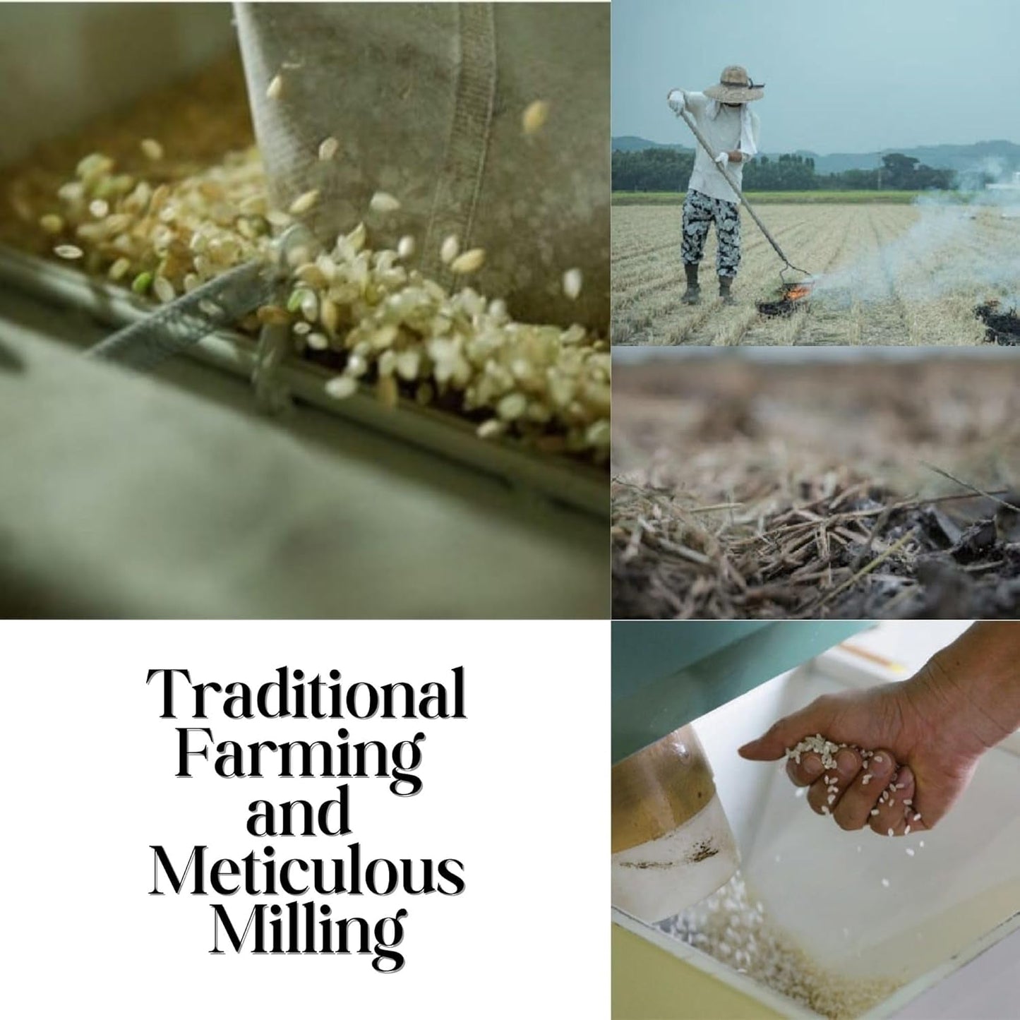 [WASHOKU MATSUO] Nikomaru: Rare Japanese Rice Born from Koshihikari – Premium Short Grain White Rice, Rich in Tradition, 4.4 Lb.