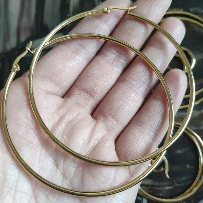 【 Hoop Earrings】 Pendant Women'S Fashion Silver Plated Earrings Stainless Steel Gold Color Jewelry