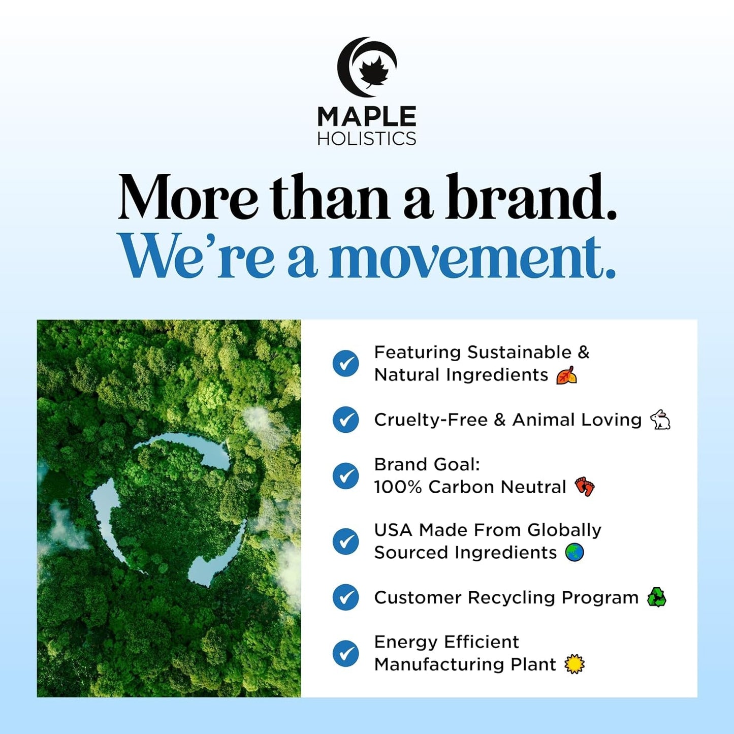 Rosemary and Biotin Shampoo for Thinning Hair - Vegan Volumizing Shampoo for Fine Hair with B Vitamins Argan Oil & Tea Tree Essential Oil - Paraben Silicone and Sulfate Free Vegan Formula (8 Fl Oz)