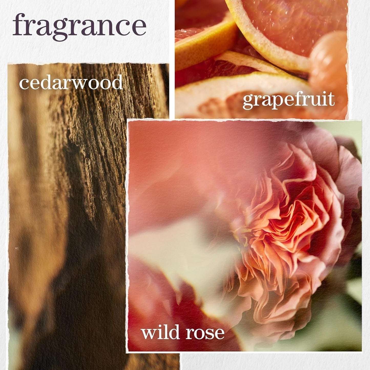 Pureology Pure Volume Shampoo - for Flat, Fine, Color-Treated Hair, Adds Lightweight Volume and Body, Clarifies Buildup, Sulfate-Free & Vegan