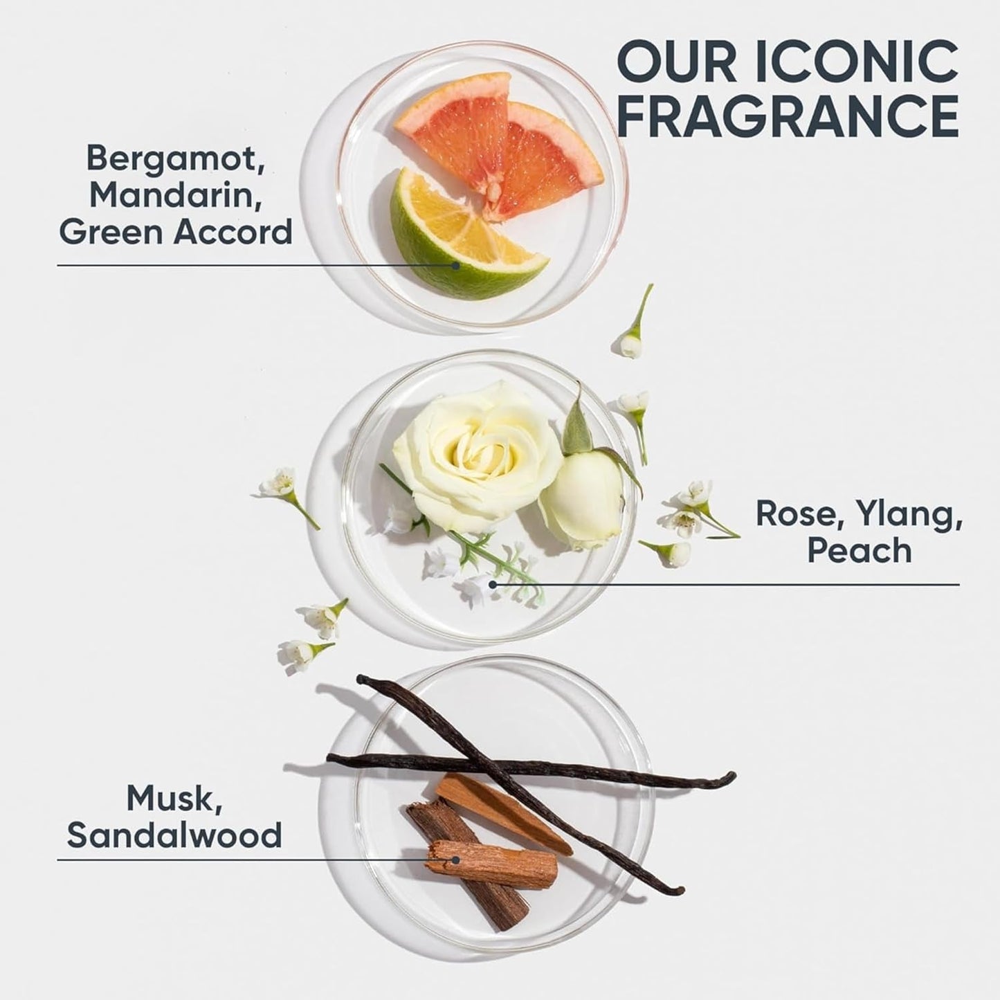 Biolage Strength Recovery Conditioner - Moisturizes & Strengthens Damaged Hair, Softness & Shine, Olive Squalane & Vegan Proteins, Paraben-Free, Vegan, Packaging May Vary