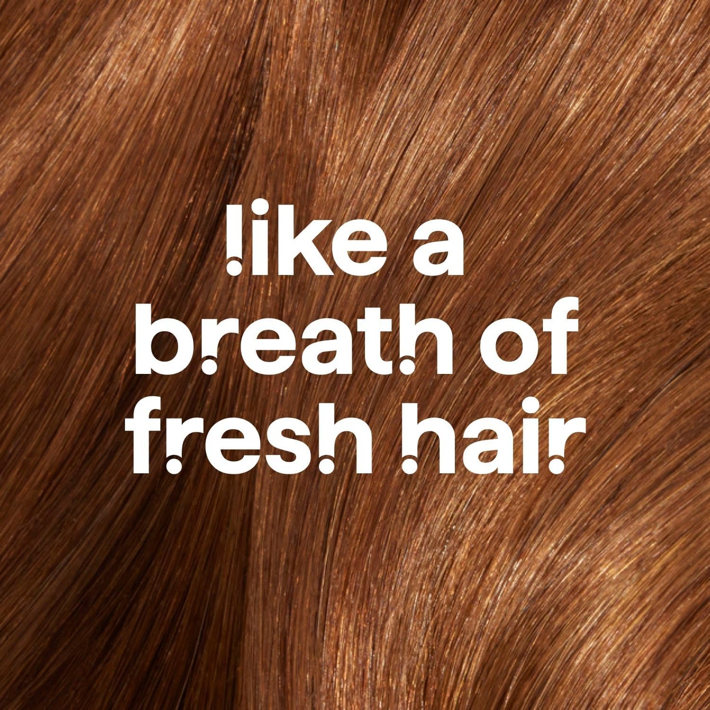 Moisturizing Shampoo, Simply Nourish with Shea Butter, Coconut, and Rice Milk Scent Notes, Paraben and Sulfate Free, 14 Oz (Pack of 1)