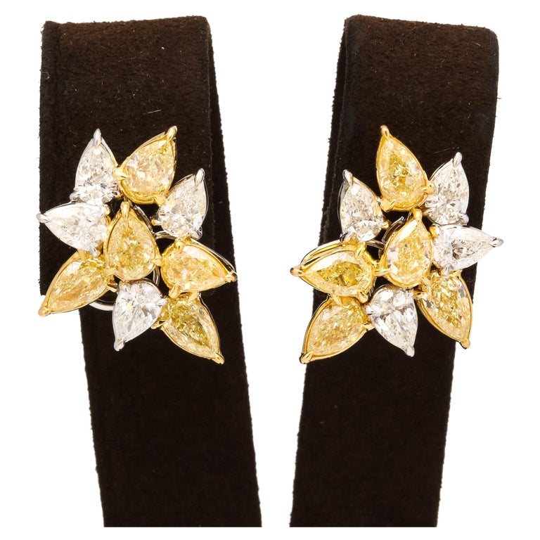 https://a.1stdibscdn.com/yellow-and-white-diamond-cluster-earrings-for-sale/j_415/j_164838621658497558303/j_16483862_1658497559534_bg_processed.jpg?width=768